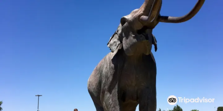 Lubbock Lake National Historic Landmark
