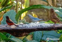 Aprovaca (The Orchid Nursery & Conservation Center)景点图片