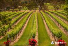 Hewitson Winery景点图片