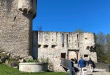 The Three Castles of Eguisheim景点图片