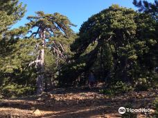 奥林匹斯山-特罗多斯山