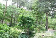 Kantenpapa Garden景点图片