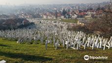 Alifakovac Cemetery-Stari Grad