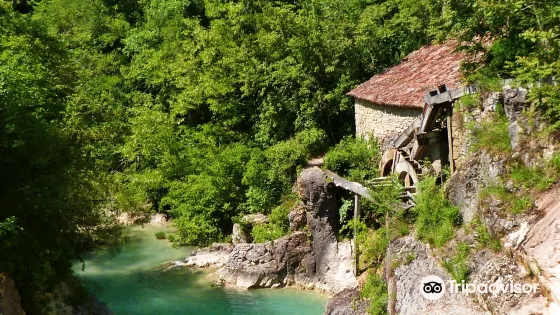 Kotli