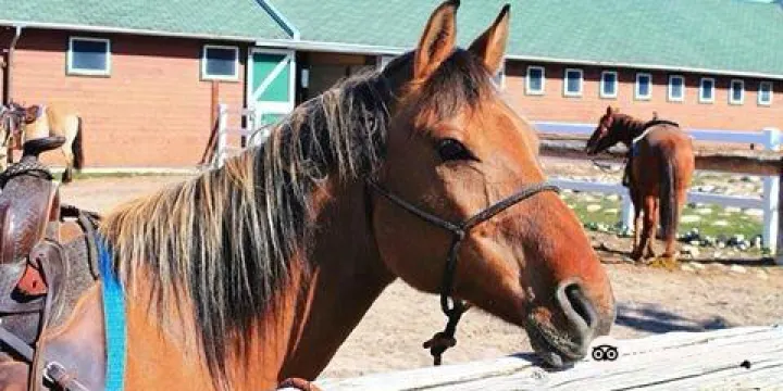 Jasper Park Stables at the Fairmont Jasper Park Lodge