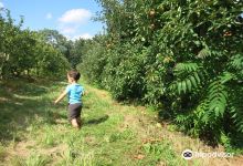 Gotta's Farm and Cider Mill景点图片