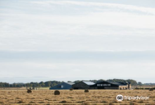 Bowhouse购物图片