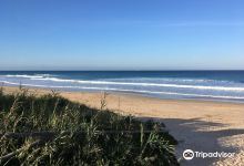 Playa El Palmar景点图片