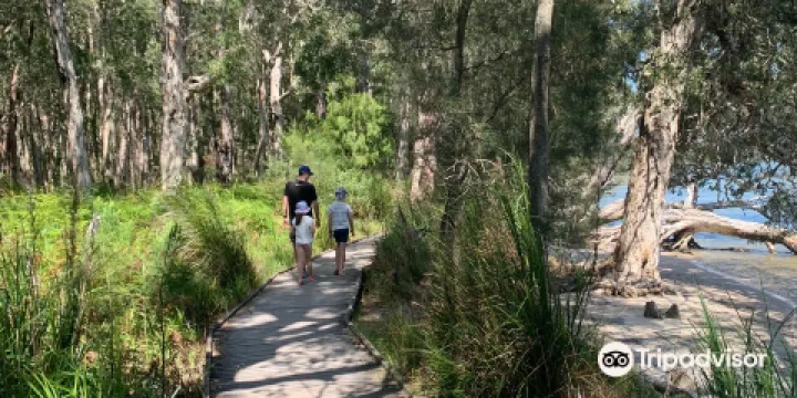 提力加力居留地