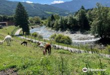 Donkey Park Maltatal景点图片