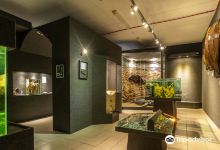 Oceanographic Museum Univali Movi景点图片