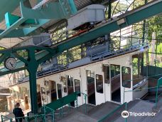 Dresden Suspension Railway-德累斯顿