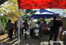 Ballan Farmers Market购物图片