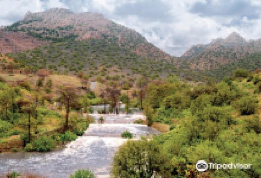 Saiysad National Park景点图片