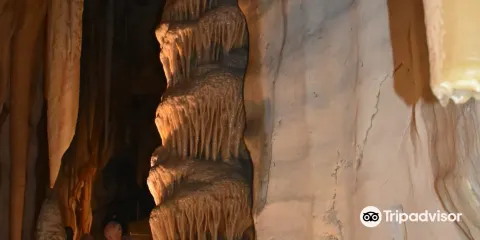 Princess Margaret Rose Caves