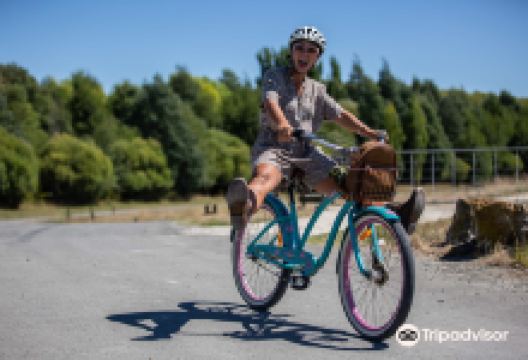 Coastal Wine Cycles购物图片