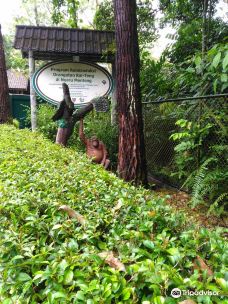 Kawasan Arboretum Nyaru Menteng-Palangka