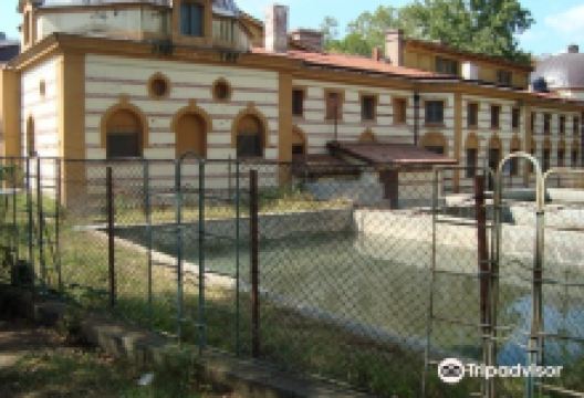 Roman Baths景点图片