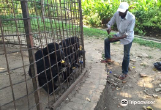 Musee Vivant景点图片