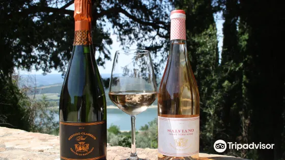 Tenuta di Salviano