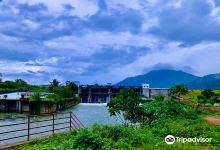 Malankara Dam景点图片
