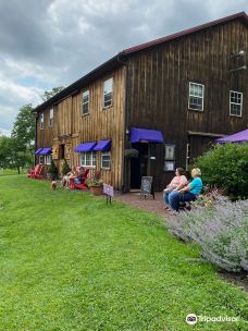 Peace Valley Lavender Farm-巴克斯县
