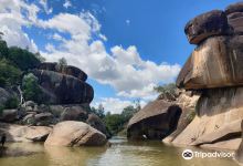 Cranky Rock Nature Reserve景点图片