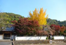 法泉寺景点图片