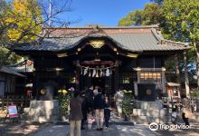 玉前神社景点图片