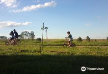 Parque Ecologico Municipal Jayme Nogueira Miranda景点图片