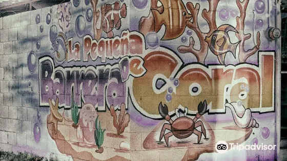 La Pequena Barrera de Coral