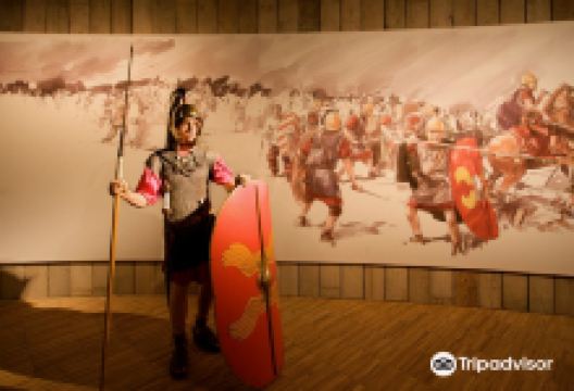 Gallo-Roman Museum景点图片