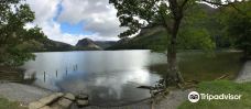 Scale Force-Loweswater