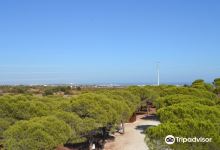 Parque Mata Da Conceição景点图片