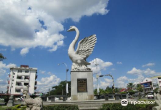 Lin's Swan Garden景点图片