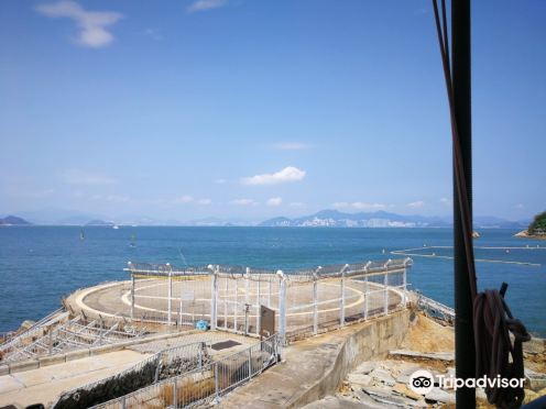 长洲滑浪风帆中心露天茶座