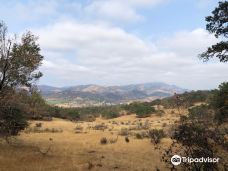 安娜德尔州立公园-圣罗莎