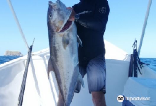 Freedive Costa Rica购物图片