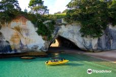 Ocean Leopard Tours Cathedral Cove Boat Tour-怀蒂昂格