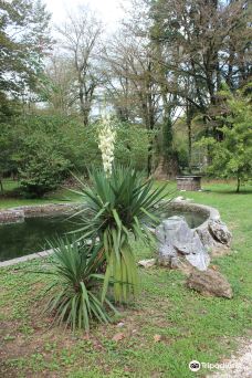 Zugdidi Botanical Garden-祖格迪迪