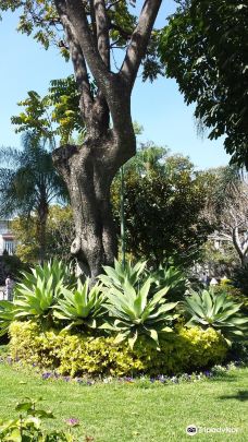 武器广场-库埃纳瓦卡