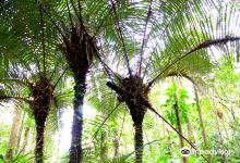 Parque Estadual Campina do Encantado景点图片