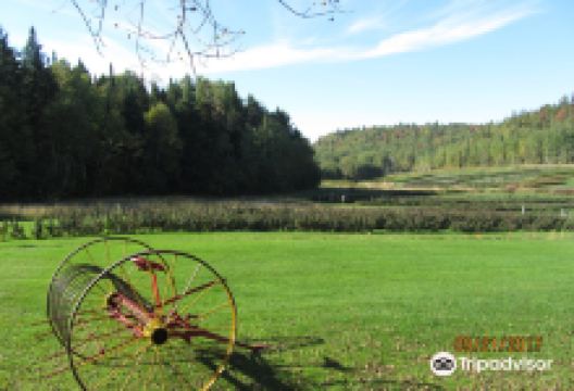 Domaine le Cageot景点图片