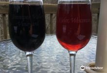 Sinnipee Valley Vineyards & Winery景点图片
