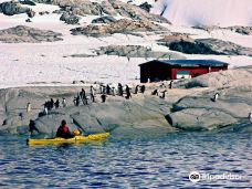 Penguin Post Office-南极洲