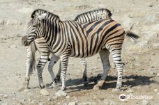 Selwo Aventura-埃斯特波纳