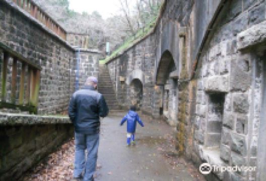 石原岳森林公园景点图片