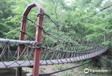 通高山自然休养林景点图片