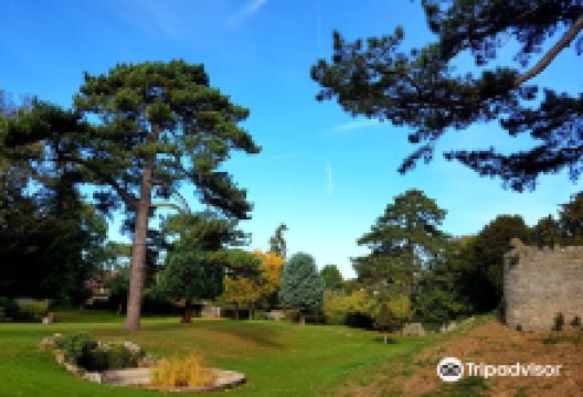 Wallingford Castle Gardens & Meadows景点图片