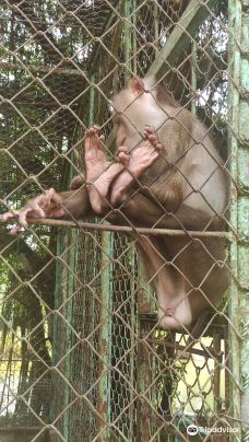 Dong Tam Snake Farm-周城县